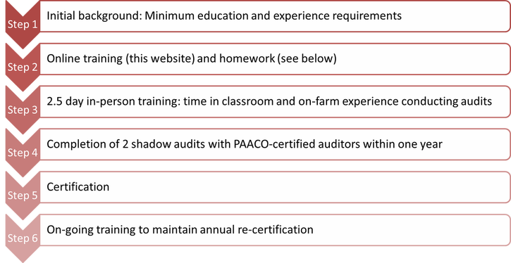 Six Components of Training